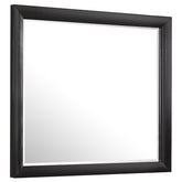 Orleans Furniture - Coaster - Briana Dresser Mirror Black - 200704